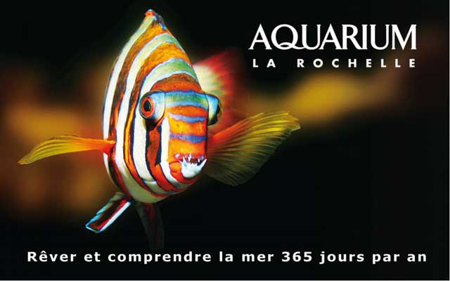aquarium-de-la-rochelle